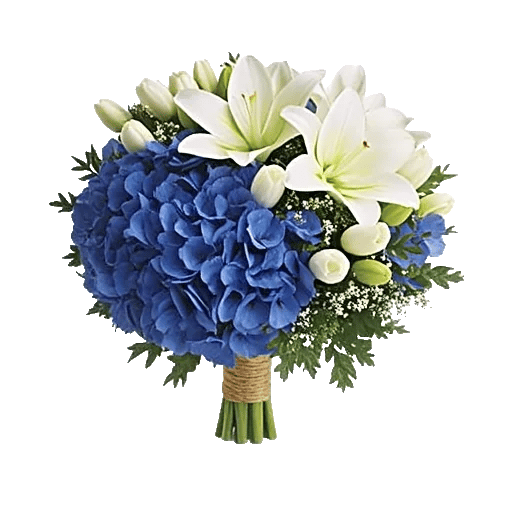 Ivory Blossom Radiance