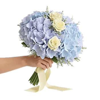 Serene Petal Harmony