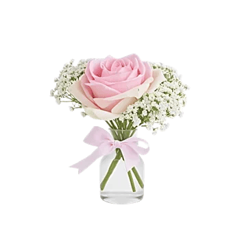 Blossom Radiant Whisper