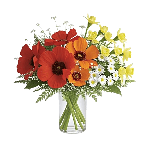 Petal Radiance Bliss