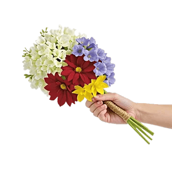 Blossom Harmony Display