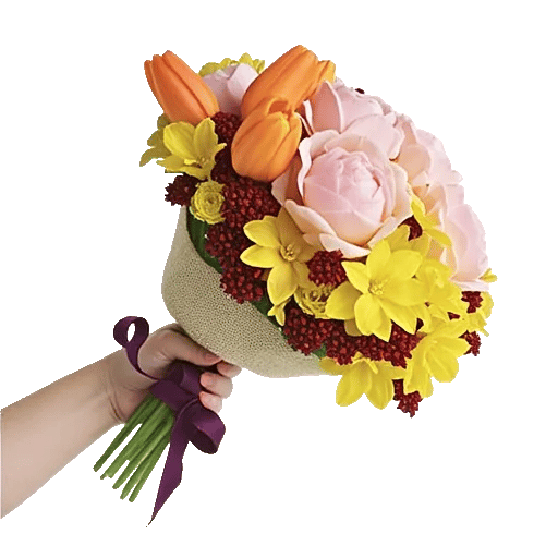 Peony Petal Harmony