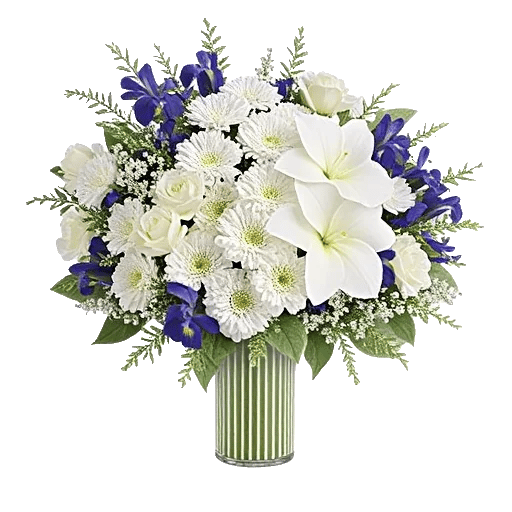 Ivory Blossom Radiance