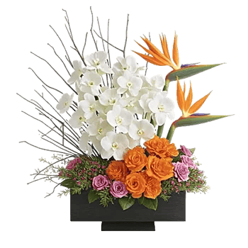 Orchid Bloom Cascade