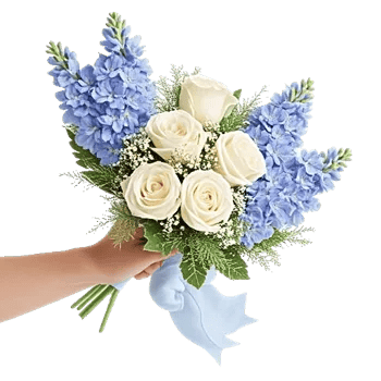 Blossom Petal Serenity