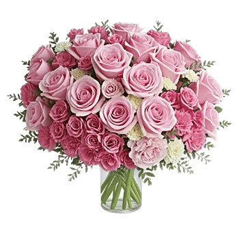Pink Pastel Roses