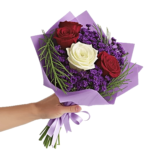 Crimson Rose Elegance