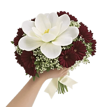 Orchid Bloom Cascade