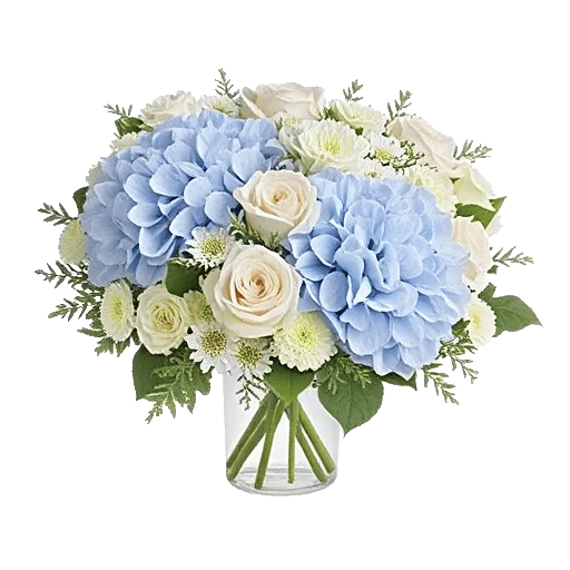 Serene Petal Harmony