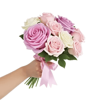 Pastel Pink Roses
