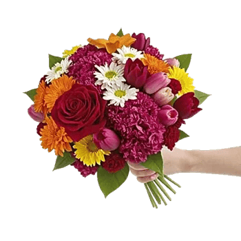 Crimson Rose Elegance