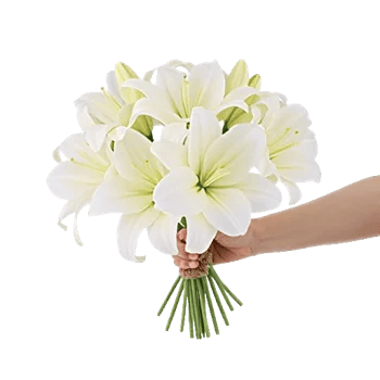 Graceful Lily Display