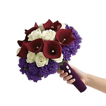 Elegant Calla Lilies