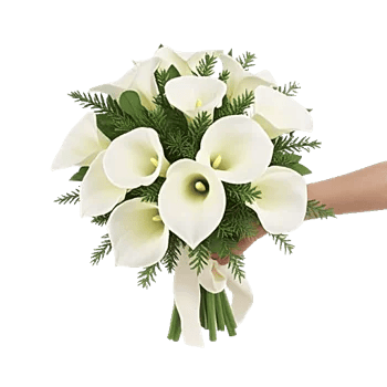 Elegant Calla Lilies