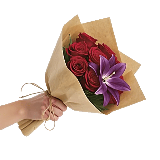 Crimson Rose Elegance