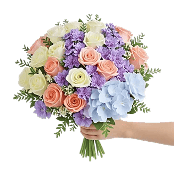 Serene Petal Harmony