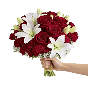 Blushing Rose Symphony