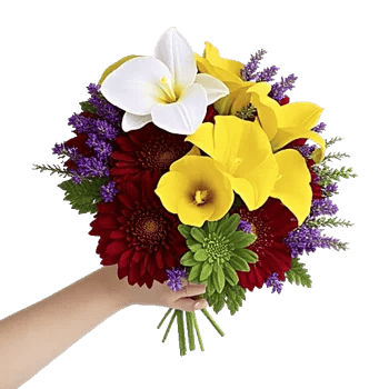 Modern White Orchids