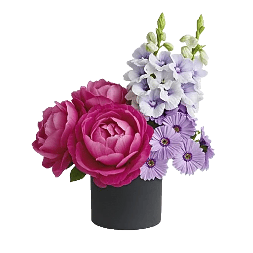 Petal Radiance Bliss