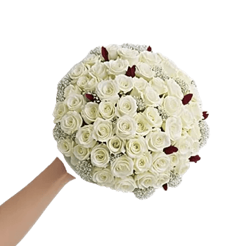 Serene Petal Harmony