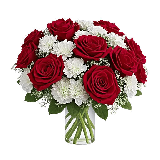 Crimson Blossom Harmony