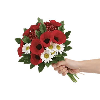 Blossom Harmony Display