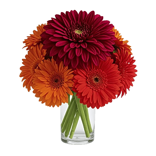 Crimson Blossom Harmony