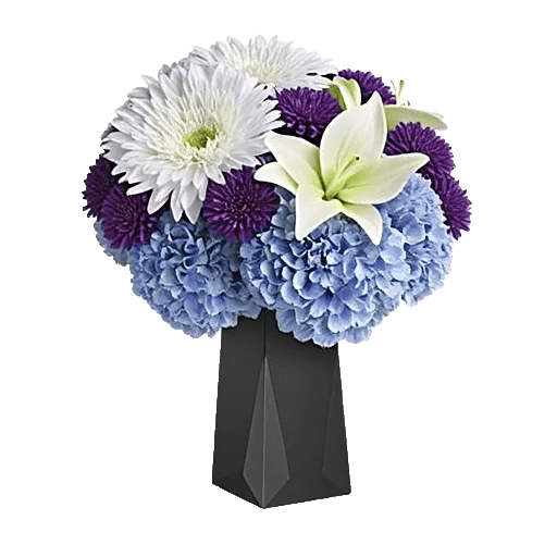 Ivory Blossom Radiance