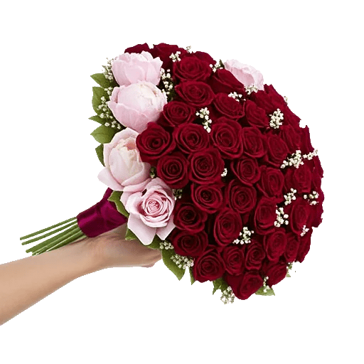 Crimson Rose Elegance