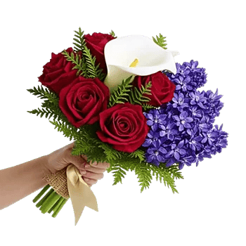 Elegant Calla Lilies