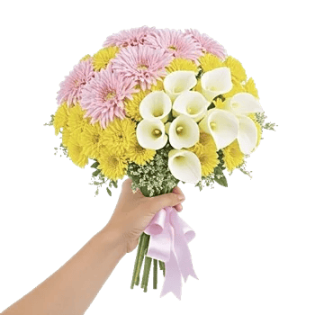 Elegant Calla Lilies