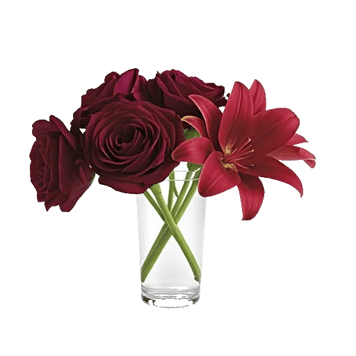 Crimson Blossom Harmony