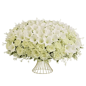 Graceful Lily Display