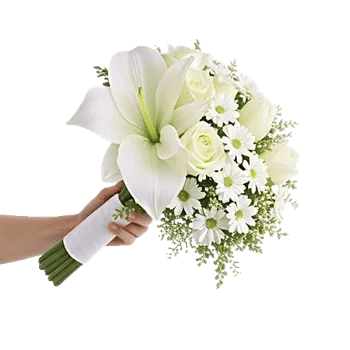 Ivory Garden Grace
