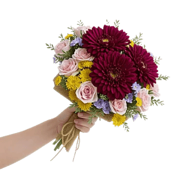 Plum Blossom Radiance