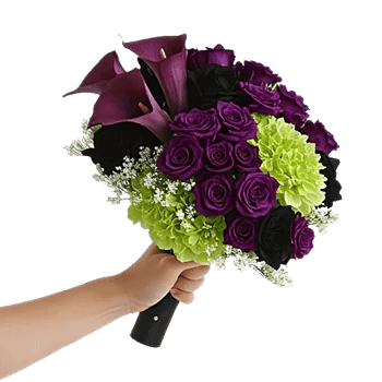 Elegant Calla Lilies