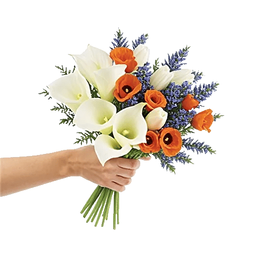 Elegant Calla Lilies