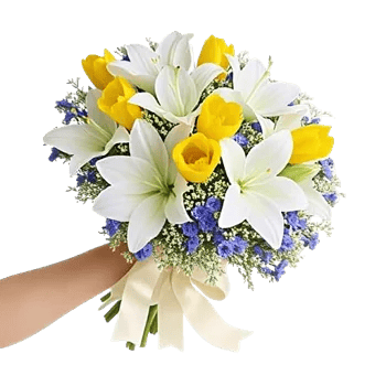 Blossom Harmony Display