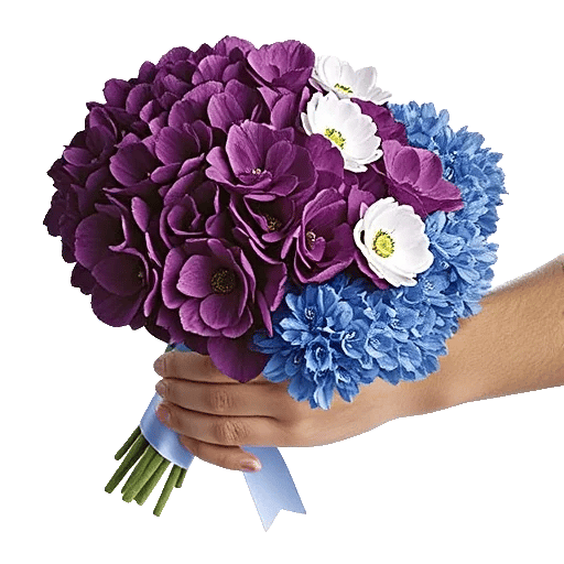 Sapphire Bloom Whisper