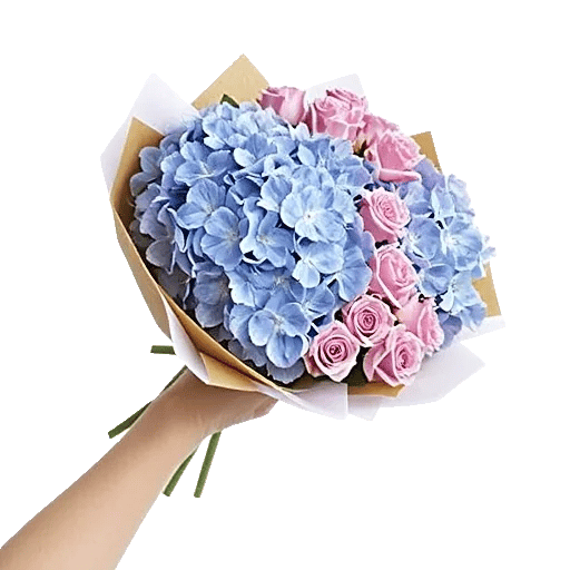 Serene Petal Harmony