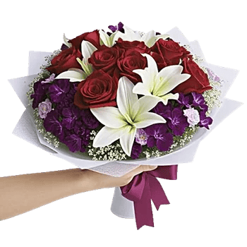 Crimson Rose Elegance