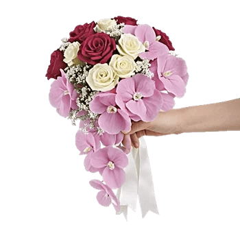 Delicate Petal Cascade