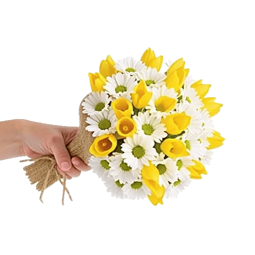 Blossom Harmony Display