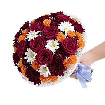 Blushing Rose Symphony