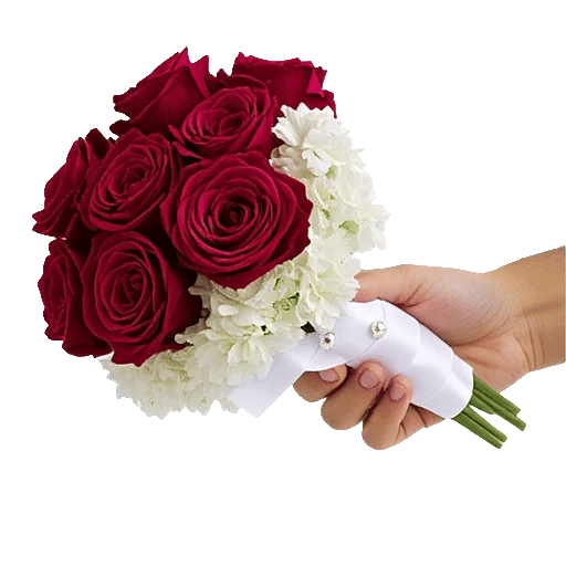 Crimson Rose Elegance