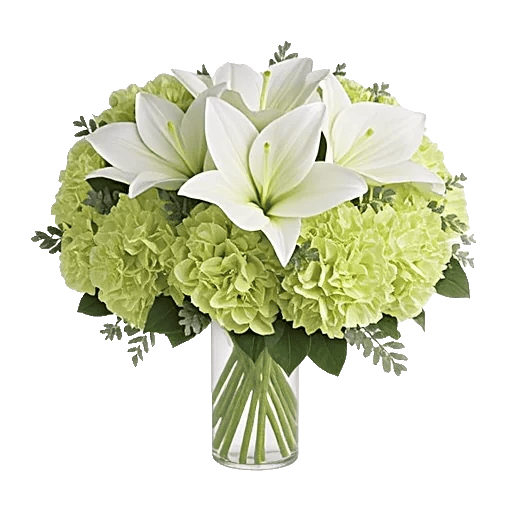 Ivory Blossom Radiance