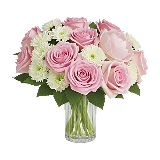 Pink Pastel Roses