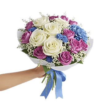 Serene Petal Harmony