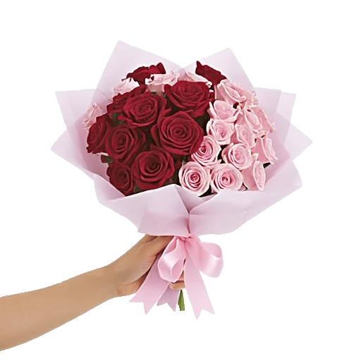 Crimson Rose Elegance