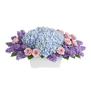 Serene Petal Harmony